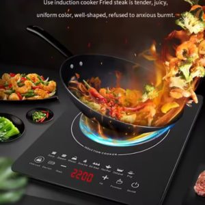 Cocina de Induccion electrica 110v