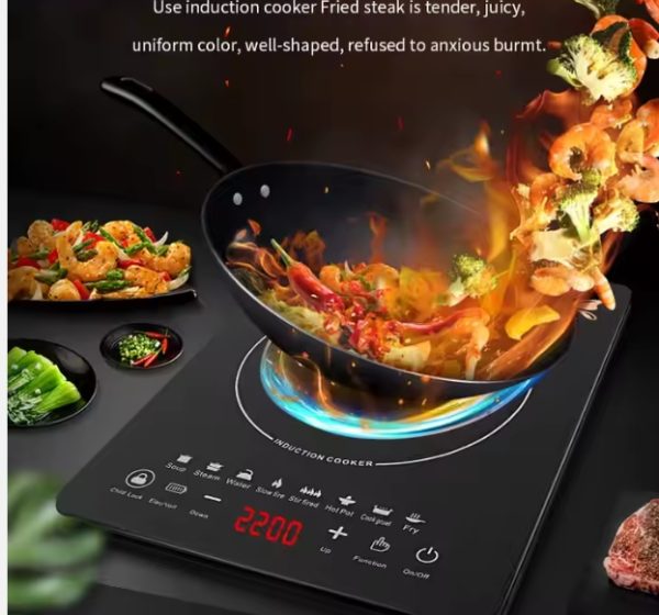 Cocina de Induccion electrica 110v