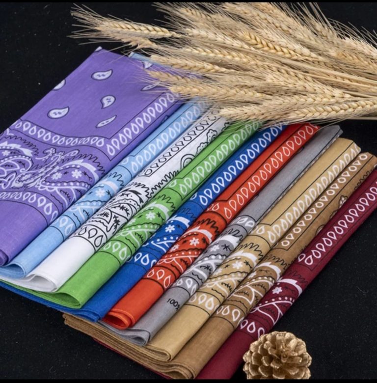 WhatsApp Image 2025-08-27 at 5.42.07 PM (1)